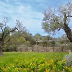 Mimosa Ad A 2km Dalla Per 6 Persone וילה