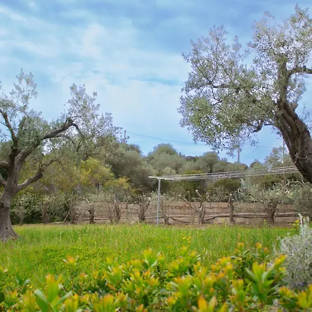 Mimosa Ad A 2km Dalla Per 6 Persone וילה
