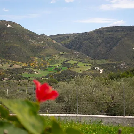 Willa Mimosa Ad A 2km Dalla Per 6 Persone *
