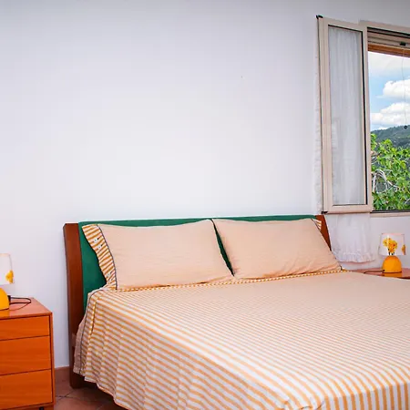 Mimosa Ad A 2km Dalla Per 6 Persone *