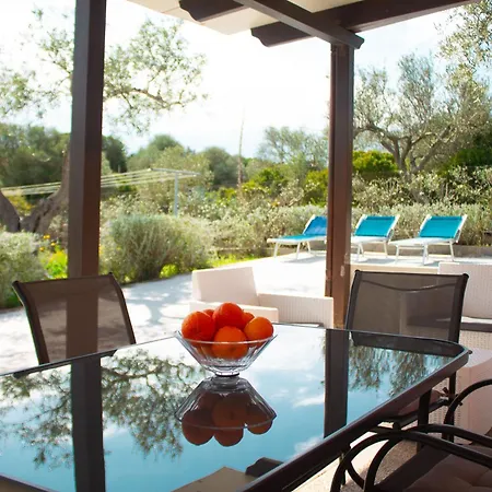 Willa Mimosa Ad A 2km Dalla Per 6 Persone *